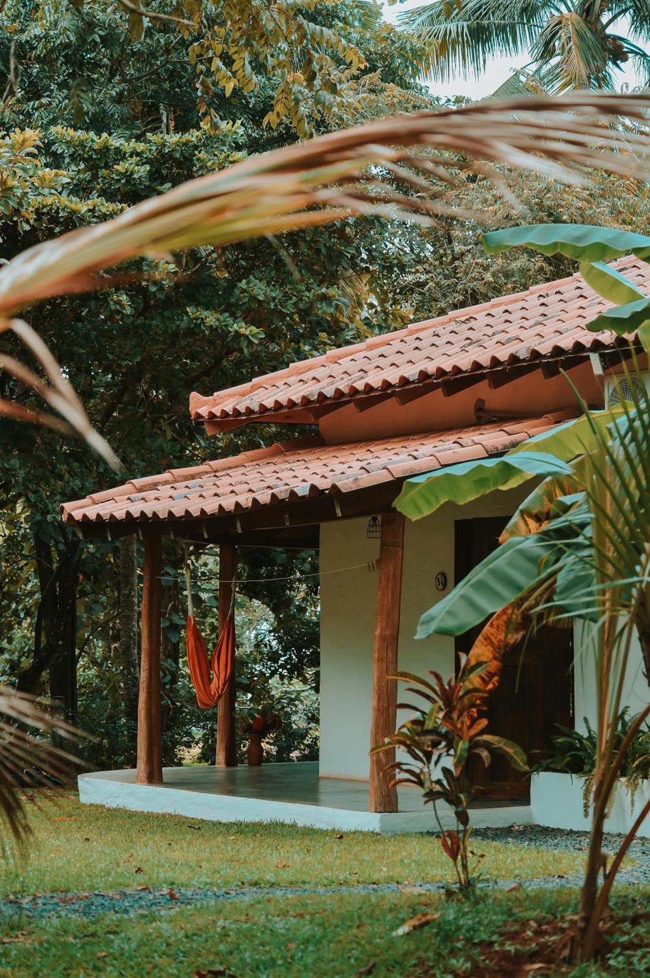 Villa Coco 圣卡塔利娜岛 外观 照片